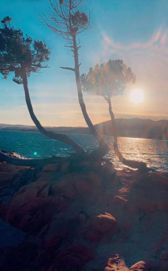 Готель Palombaggia Location I Pini Porto Vecchio Екстер'єр фото